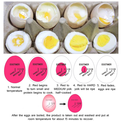 Boiled-perfect Egg Timer