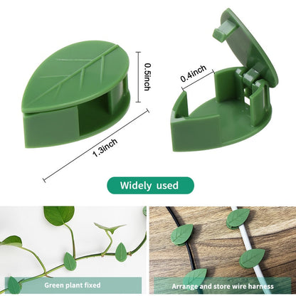 Plant tool for wall climbing